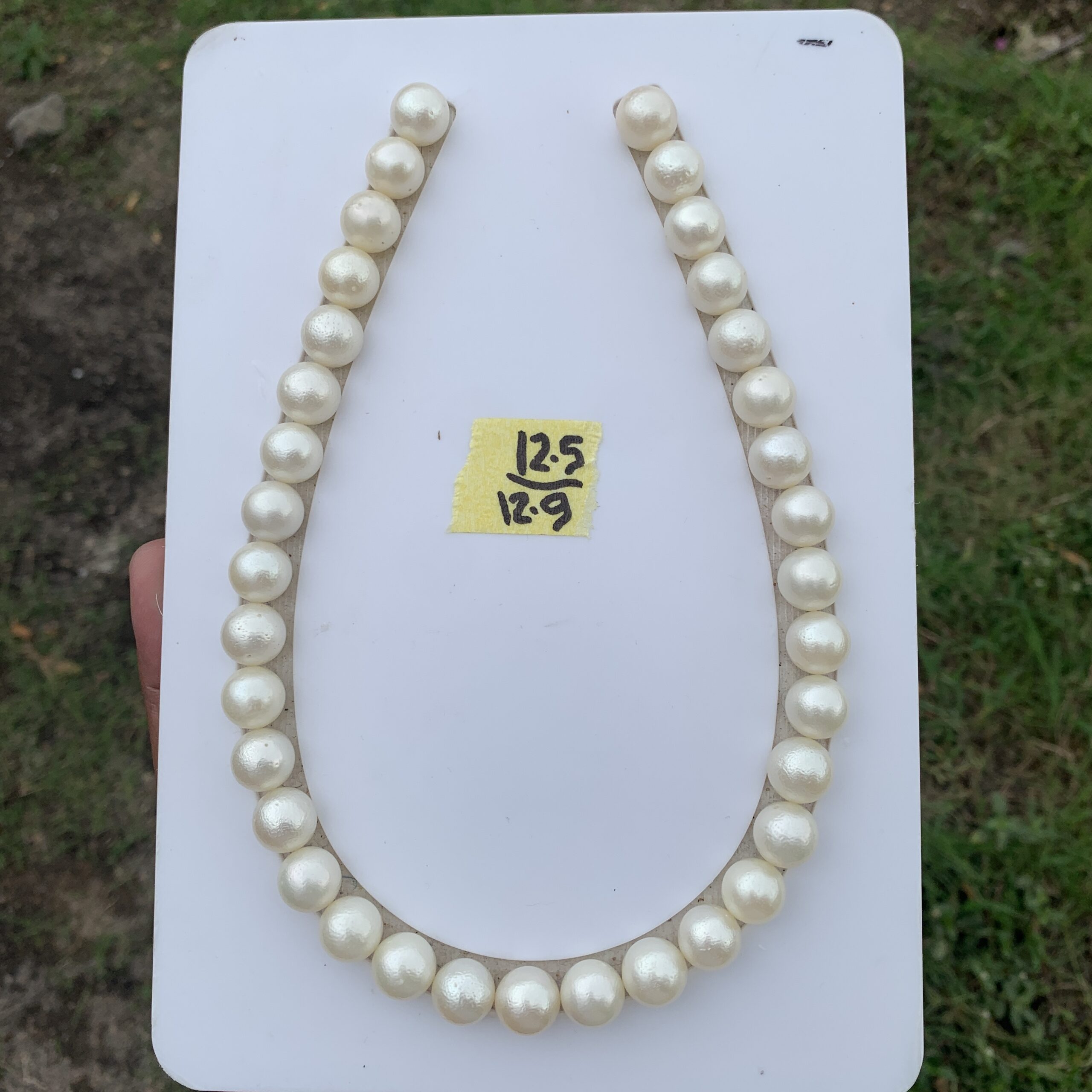 Necklace No.6