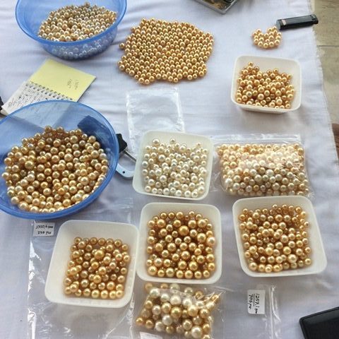Wholesale