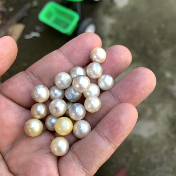 20 Pcs 9mm  Loose Real Genuine Indonesia Cultured Saltwater Pearl Beads AT-10