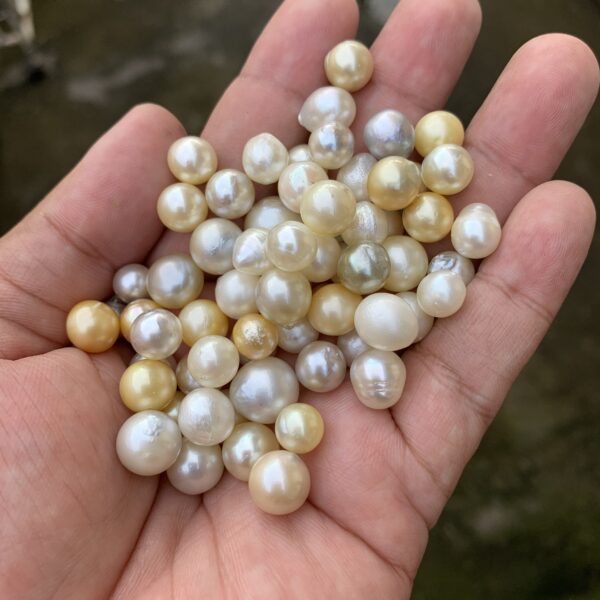 65 Pcs 7-11mm Indonesia Loose Saltwater Pearl Beads Special Pearl BoZorX DDL-3