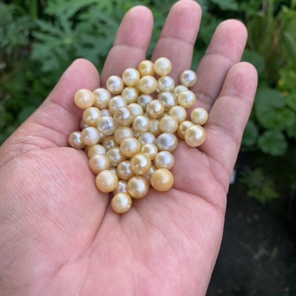 125 Pieces 13mm Indonesia Loose Saltwater Pearl Beads Special Pearl BoZorX DDL-8
