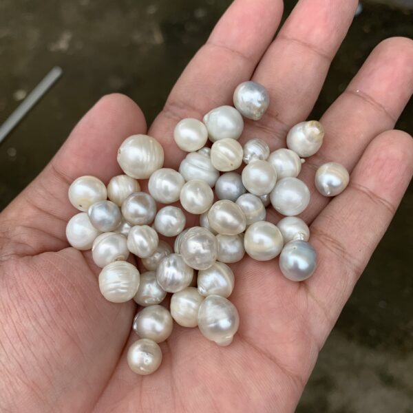 45 PCS 7-12mm White Circle Pearl Saltwater Circle Baroque Pearl Beads TC-2