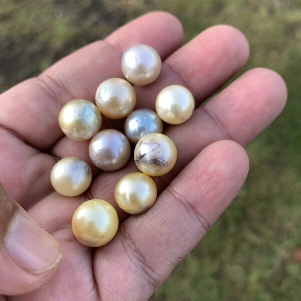 22 Pcs 10mm  Loose Real Genuine Indonesia Cultured Saltwater Pearl Beads AT-21