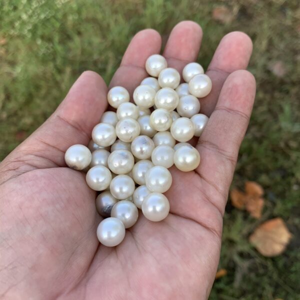 47 Pcs 10mm  Loose Real Genuine Indonesia Cultured Saltwater Pearl Beads AT-16