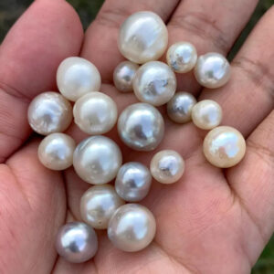 19 Pieces 8-14mm Saltwater Pearl Beads, Loose South Sea Pearls TR-4