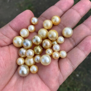 27 Pieces 7-12mm Saltwater Pearl Beads: Loose South Sea Pearls TR-3