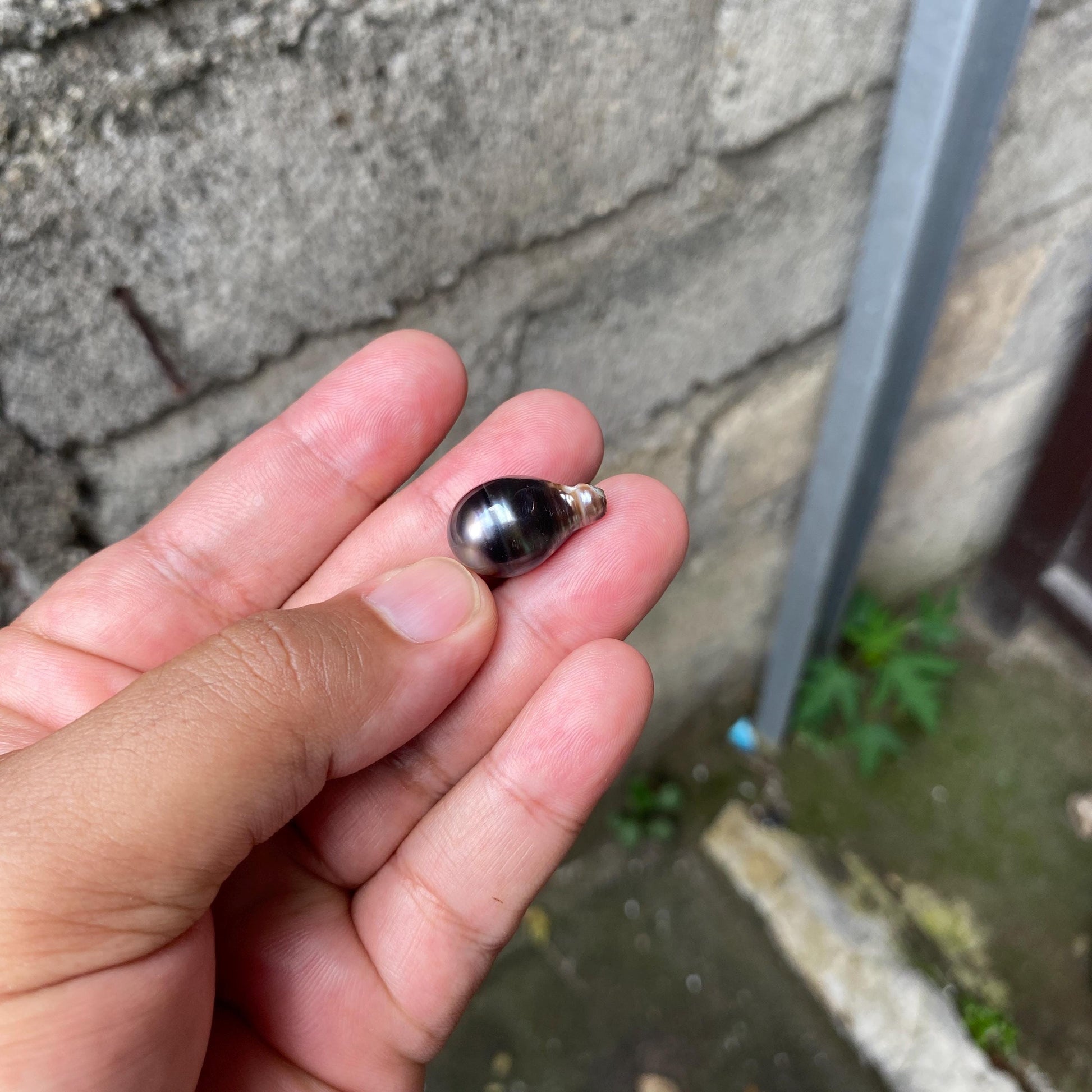 Loose South Sea Pearl Seawater Pearl Beads Black Pearl (BP-7) BoZorX