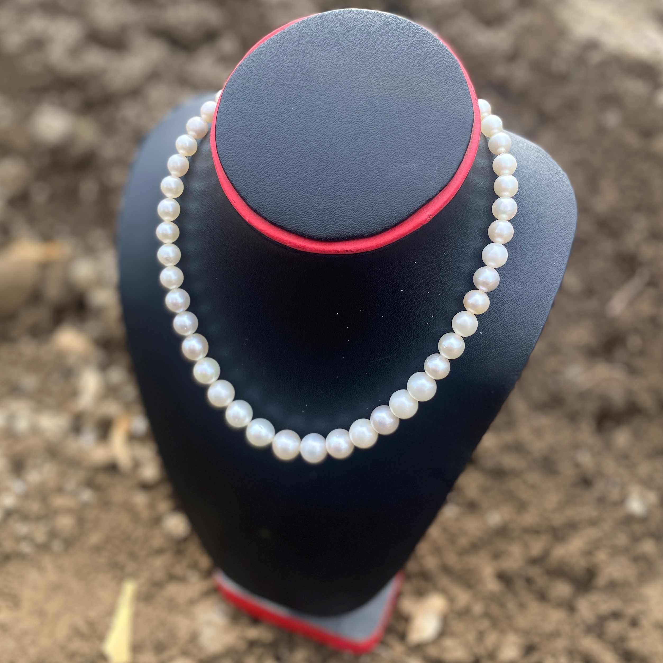High Grade South Sea Pearl Necklace