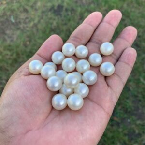 13.5-13.6mm Indonesia Loose South Sea Pearl Seawater Pearl Beads Special edition Pearl BoZorX GR