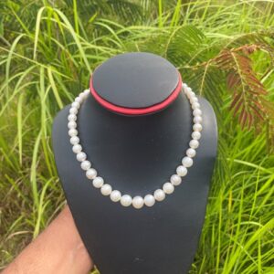 High Grade South Sea Pearl