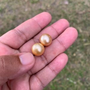 2 Pcs 13mm Loose High Grade Golden South Sea Pearl Golden Loose Gold Seawater Pearl Loose Gold Saltwater Pearl PP3-3