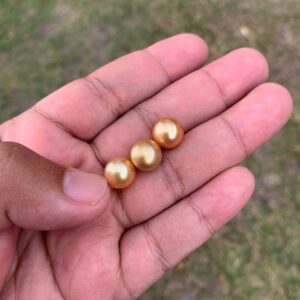 3 Pcs 10mm Loose High Grade Golden South Sea Pearl Golden Loose Gold Seawater Pearl Loose Gold Saltwater Pearl PP3-7