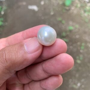 15.7x15.4mm Loose Indonesia White Sea Pearl White South Sea Pearl BoZorX FR-1
