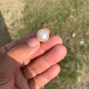 15.2x14.7mm Loose Indonesia White Sea Pearl White South Sea Pearl BoZorX FR-3