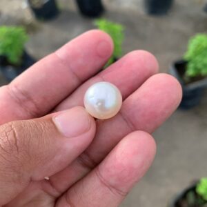 14.6mm Loose Indonesia White Sea Pearl White South Sea Pearl BoZorX FR-4