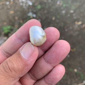 18.8x15.4mm Indonesia Loose South Sea Pearl Seawater Pearl Beads Sea Pearl BoZorX N-11