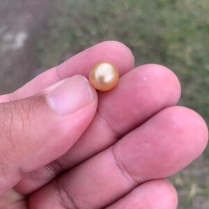 8.8mm Golden South Sea Pearl: High Grade Loose Seawater Pearl Small-2