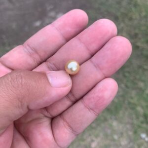 8.8mm Golden South Sea Pearl: High Grade Loose Seawater Pearl Small-3