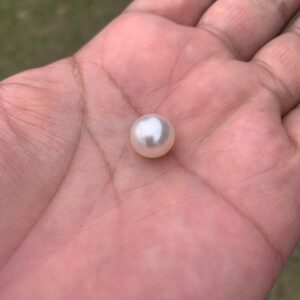 10mm White South Sea Pearl: High Grade Loose Seawater Pearl