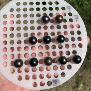 10 Pcs 12-12.5mm Tahitian South Sea Pearl Loose Indonesia Pearl Beads BoZorX RAR-2