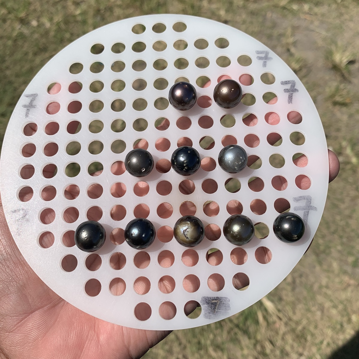 10 Pcs 12-12.5mm Tahitian South Sea Pearl Loose Indonesia Pearl Beads BoZorX RAR-2 - Image 2