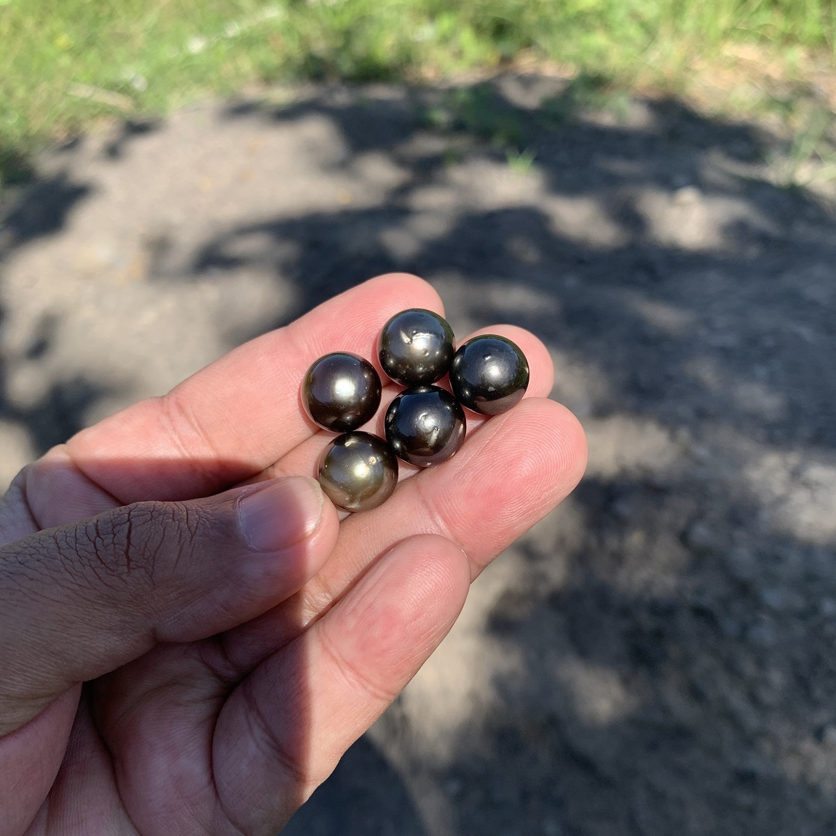 10 Pcs 12-12.5mm Tahitian South Sea Pearl Loose Indonesia Pearl Beads BoZorX RAR-2 - Image 3