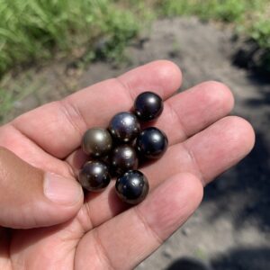7 Pcs 11-11.5mm Tahitian South Sea Pearl Loose Indonesia Pearl Beads BoZorX RAR-3