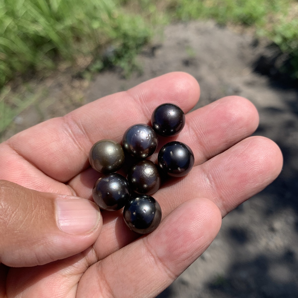 7 Pcs 11-11.5mm Tahitian South Sea Pearl Loose Indonesia Pearl Beads BoZorX RAR-3 - Image 3