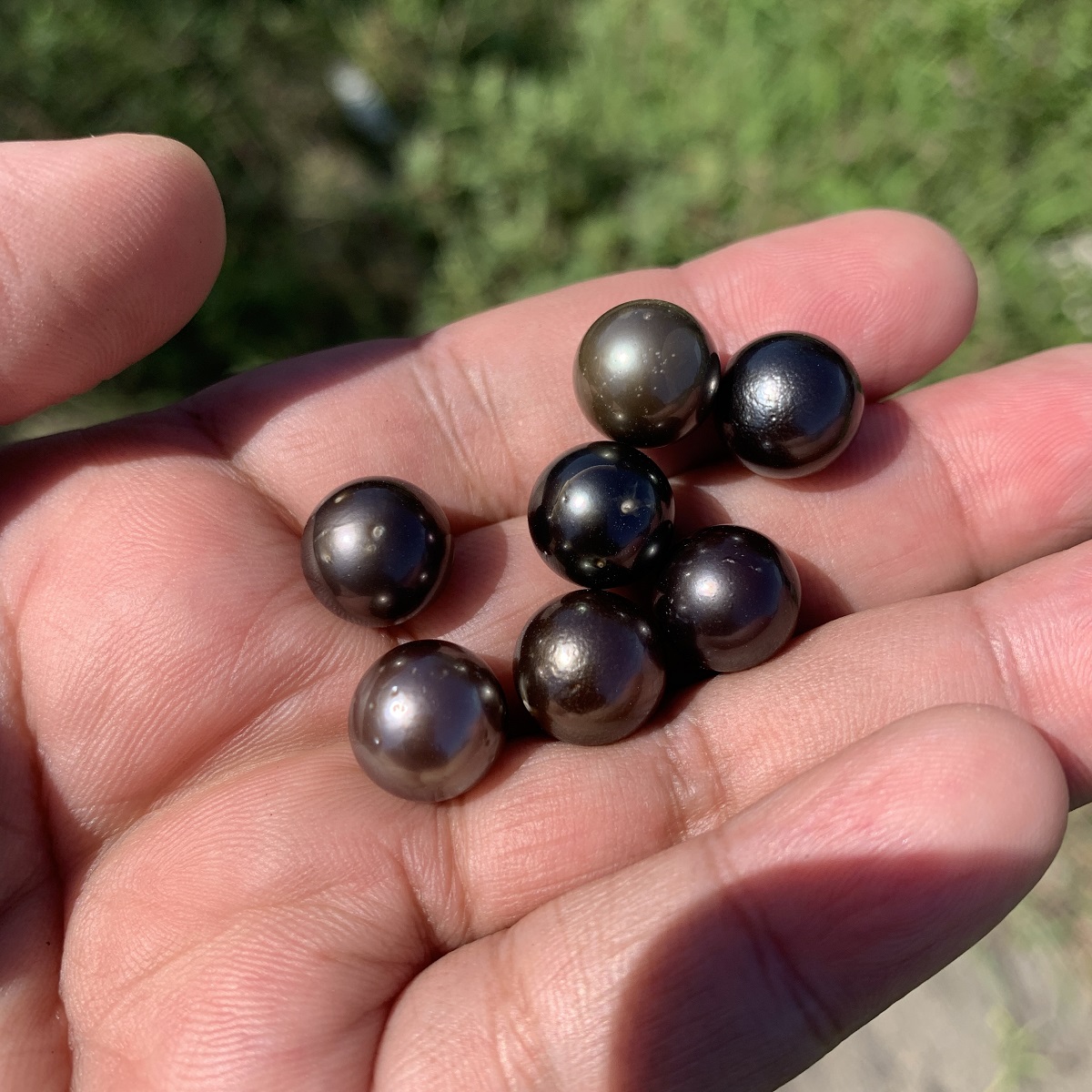 7 Pcs 11-11.5mm Tahitian South Sea Pearl Loose Indonesia Pearl Beads BoZorX RAR-3 - Image 5