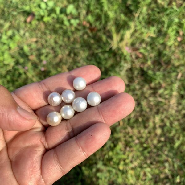 7 Pcs 10mm  Loose Real Genuine Indonesia Cultured Saltwater Pearl Beads AT-12