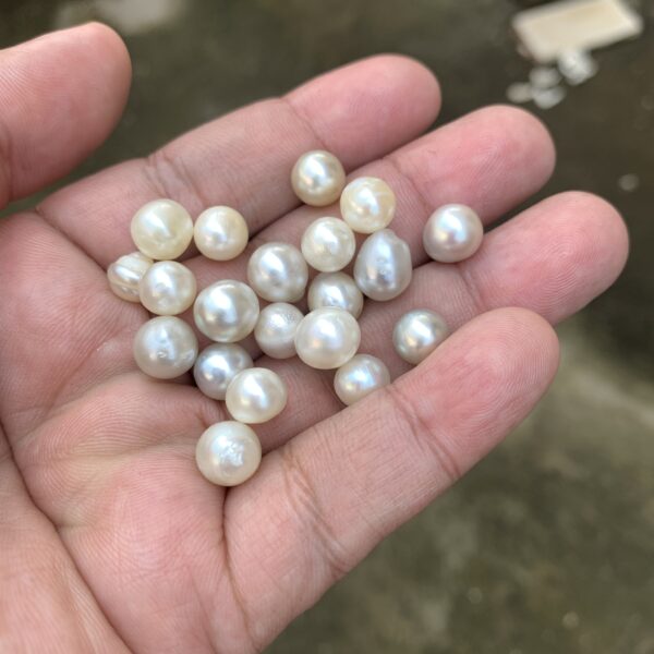 20 Pcs 8mm  Loose Real Genuine Indonesia Cultured Saltwater Pearl Beads AT-6