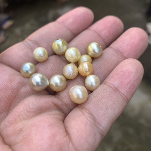 12 Pcs 8mm Loose Real Genuine Indonesia Cultured Saltwater Pearl beads AT-4