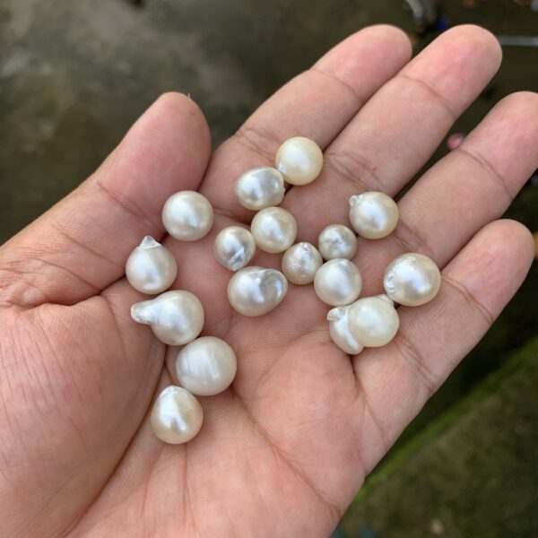 16 Pcs 8-12mm Loose Saltwater Pearl Beads Special Baroque Pearl BoZorX DDL-6