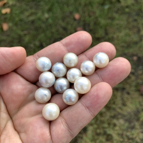 12 Pcs 12mm Loose Real Genuine Indonesia Cultured Saltwater Pearl Beads AT-22
