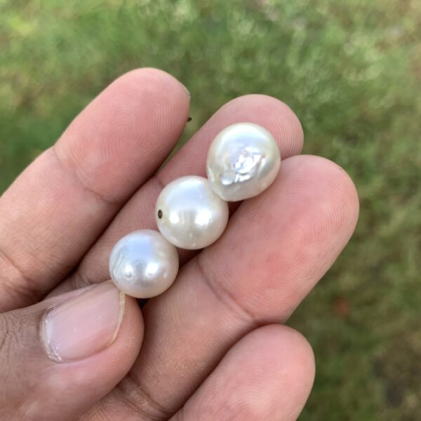 3 Pcs 12mm Loose Real Genuine Indonesia Cultured Saltwater Pearl Beads AT-19