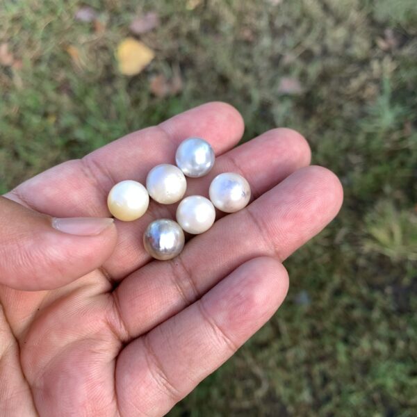 6 Pcs 11mm  Loose Real Genuine Indonesia Cultured Saltwater Pearl Beads AT-17