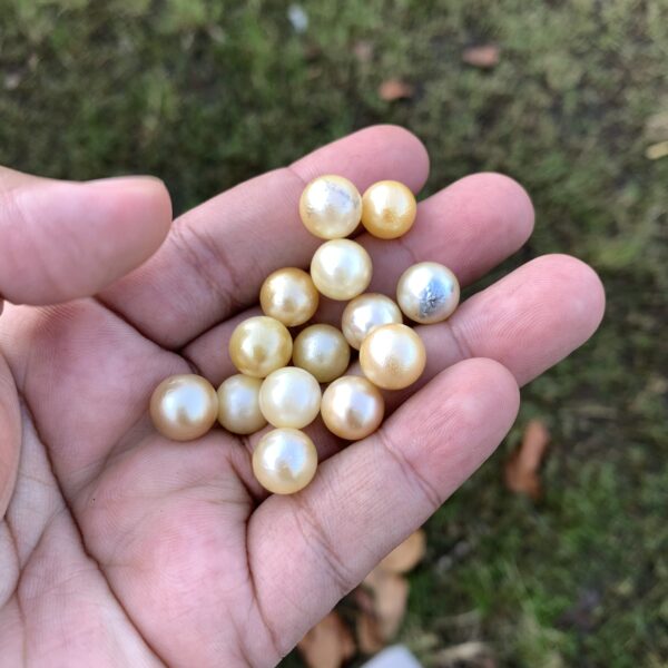 14 Pcs 10mm  Loose Real Genuine Indonesia Cultured Saltwater Pearl Beads AT-14