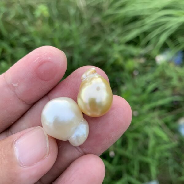 2 Pieces 18-19mm Loose Indonesia Saltwater South Sea Seawater Big Size Baroque Pearl Beads H10-2