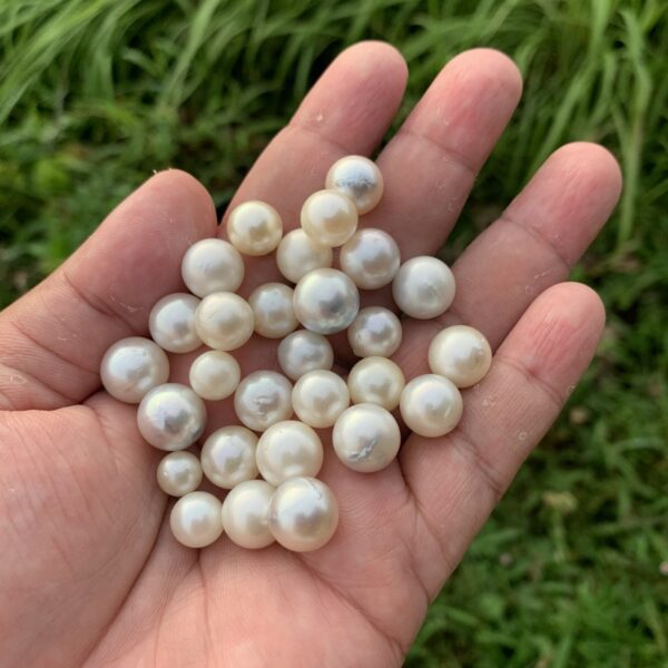 28 Pieces 8-12mm Saltwater Pearl Loose Indonesia Pearl Beads BoZorX H7-2