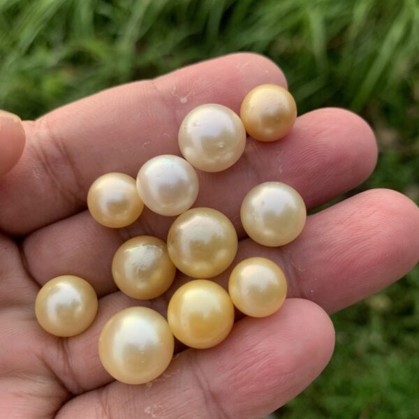 11 Pieces 9-12mm Loose Saltwater Crack Pearl Loose Indonesia Pearl Beads BoZorX H7-3