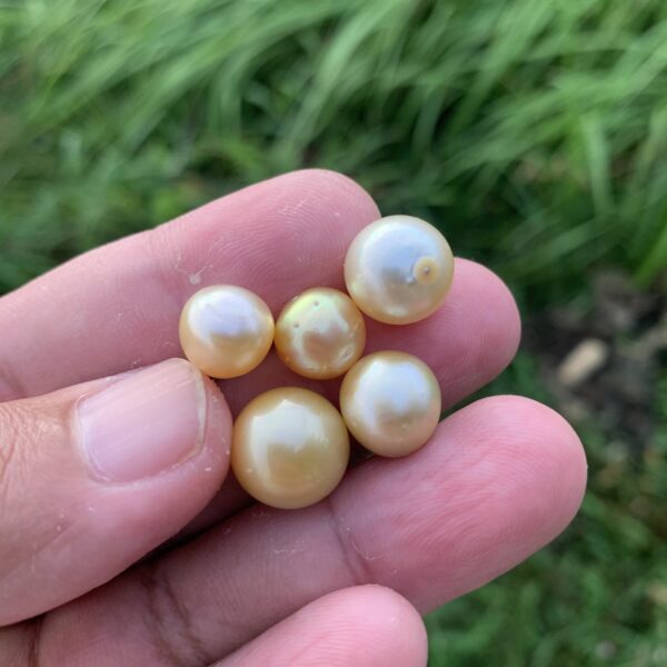 5 Pieces 10-12mm Loose Saltwater Crack Pearl Loose Indonesia Pearl Beads BoZorX H7-4