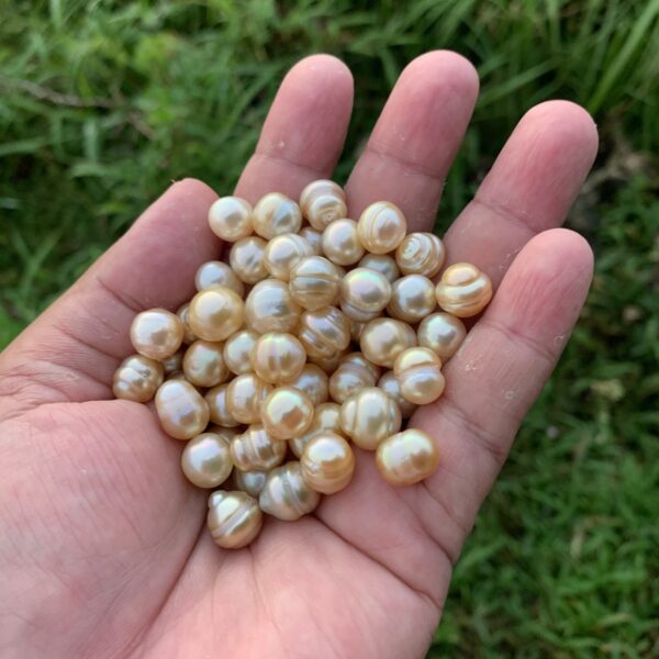 54 Pieces 8-11mm Saltwater Pearl Loose Indonesia Pearl Beads BoZorX H8-1