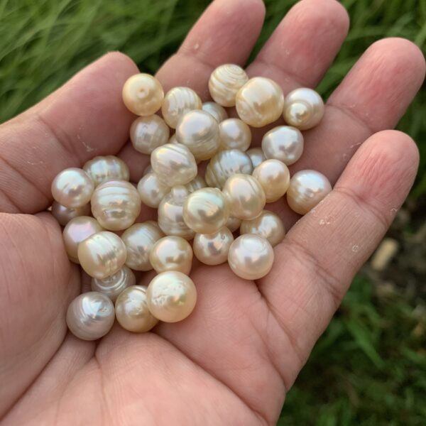 38 Pieces 8-11mm Saltwater Pearl Loose Indonesia Pearl Beads BoZorX H8-2