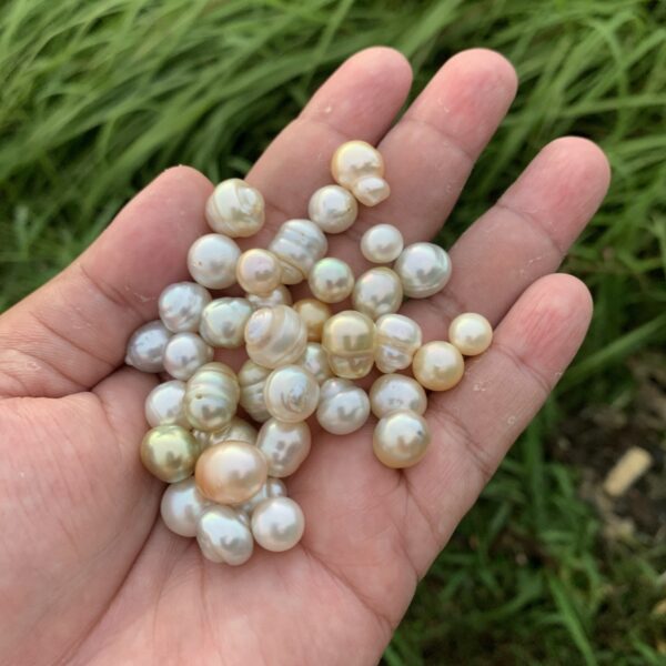 38 Pieces 8-12mm Indonesia Loose Saltwater Pearl Beads Loose South Sea Pearls BoZorX H8-3