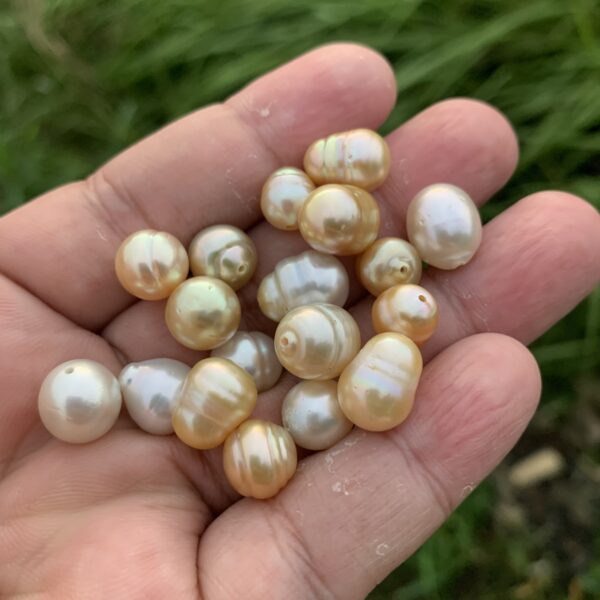 18 Pieces Mix Size Loose Saltwater Pearl Loose Indonesia Pearl Beads BoZorX H8-5