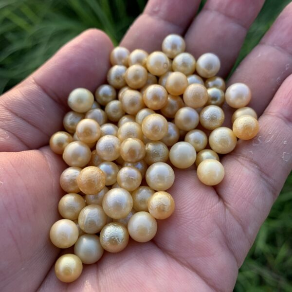 125 Pieces 7mm Loose Saltwater Pearl Loose Indonesia Pearl Beads BoZorX H9-1