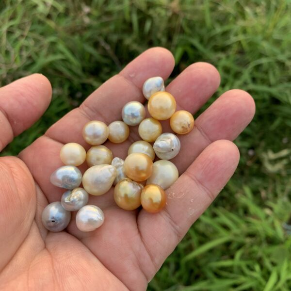 21 Pieces Mix Size Loose Real Genuine Indonesia Cultured Saltwater South Sea Seawater Pearl Beads H9-3