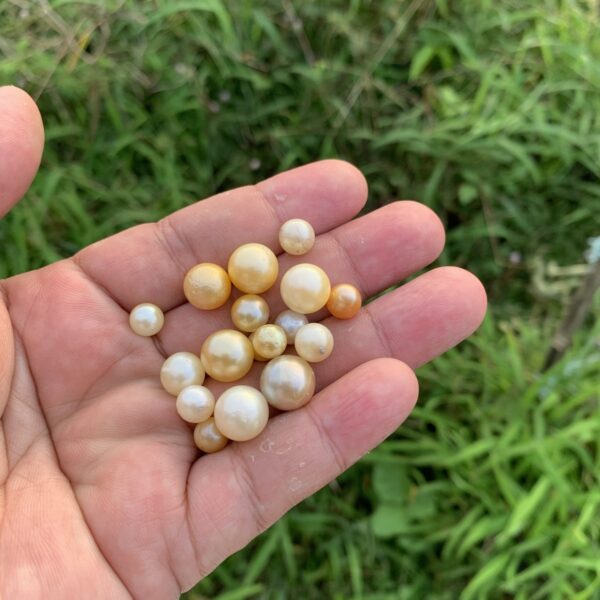 14 Pieces 7-10mm Loose Indonesia Saltwater South Sea Seawater Crack Pearl H9-4
