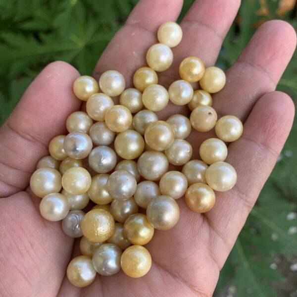 54 Pieces 9mm Loose Indonesia Saltwater South Sea Seawater Pearl Beads H9-5
