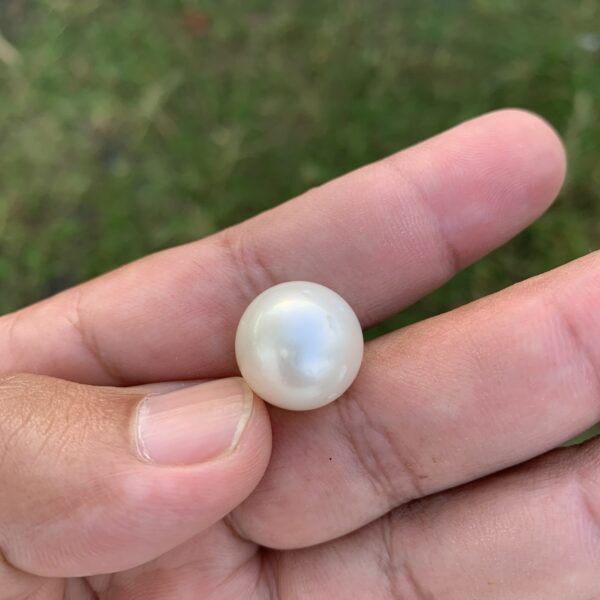 Loose Saltwater Big Size Pearl Bead: Genuine South Sea Pearl FR-10